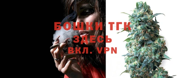 PSILOCYBIN Горно-Алтайск