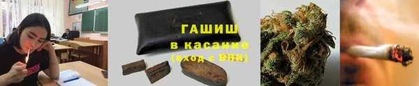 сатива Горнозаводск