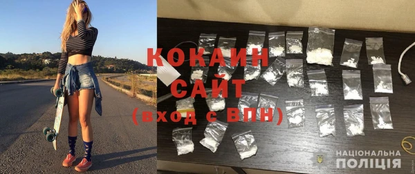 сатива Горнозаводск