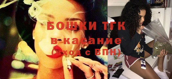 сатива Горнозаводск