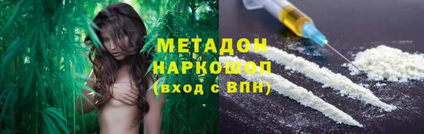 PSILOCYBIN Горно-Алтайск