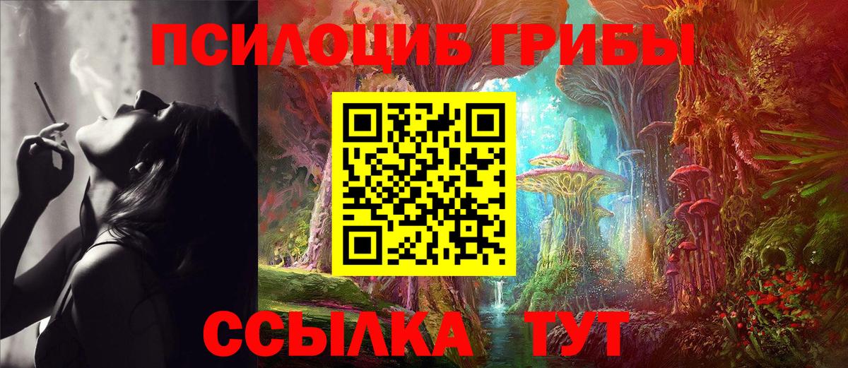 Псилоцибиновые грибы GOLDEN TEACHER Богородицк